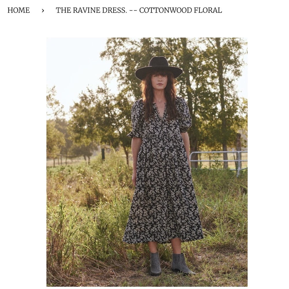 ISO the great ravine dress in cottonwood floral